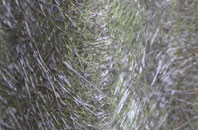 Lakenheath fibreglass roof work